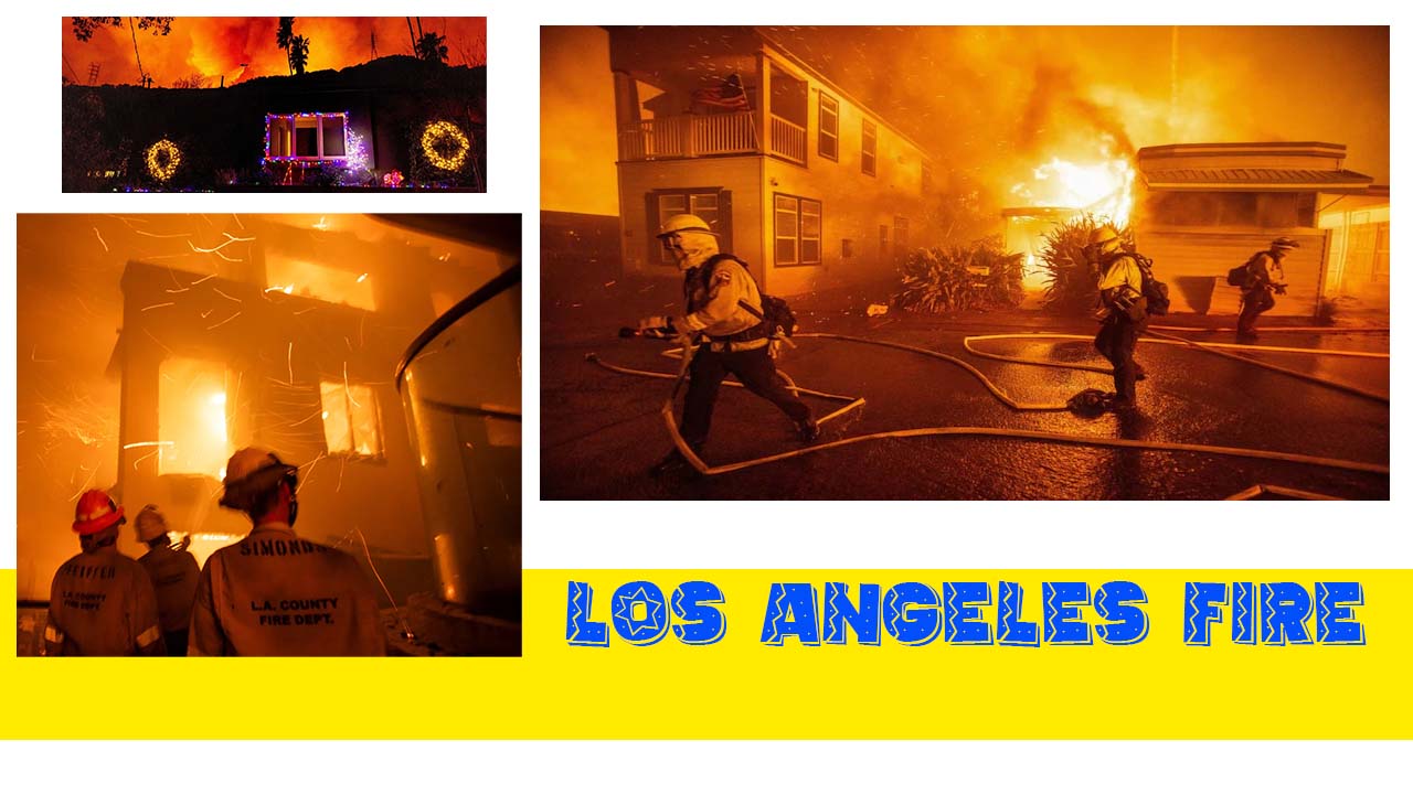 California के जंगलों से फैली आग आखिर कैसे ?